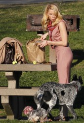 Amber Heard