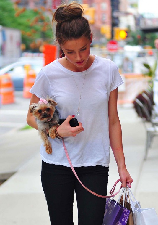 AMBER HEARD