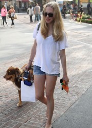 Amanda Seyfried Walking Her the Dog
