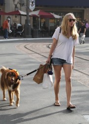 Amanda Seyfried Walking Her the Dog