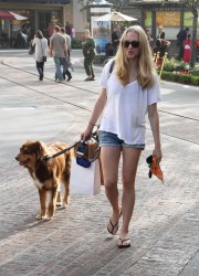 Amanda Seyfried Walking Her the Dog