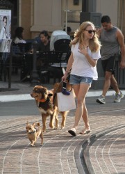 Amanda Seyfried Walking Her the Dog