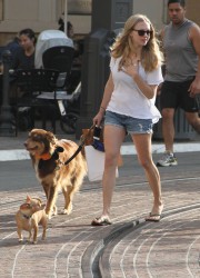 Amanda Seyfried Walking Her the Dog