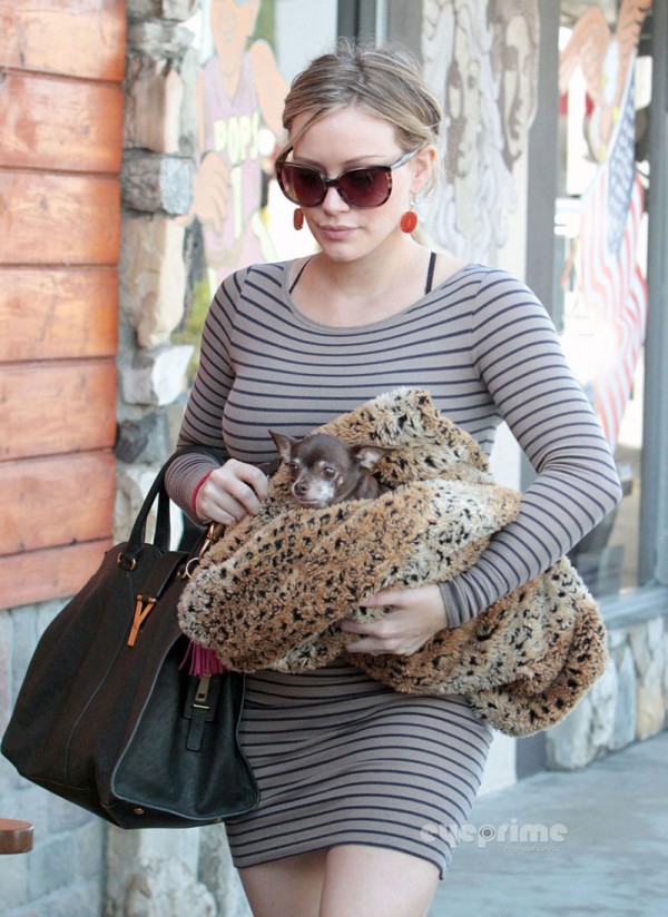 Hilary Duff Going to The Vet