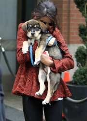 Selena Gomez Walking with Her Puppy