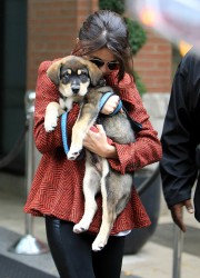 Selena Gomez Walking with Her Puppy