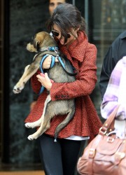 Selena Gomez Walking with Her Puppy