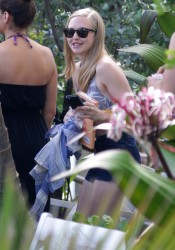 Amanda Seyfried
