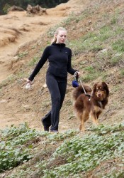 Amanda Seyfried Walks Her Dog in Hollywood Hills