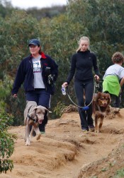 Amanda Seyfried Walks Her Dog