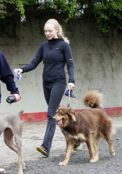 Amanda Seyfried Walks Her Dog