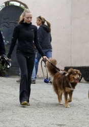 Amanda Seyfried Walks Her Dog