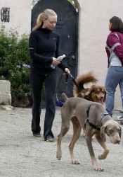 Amanda Seyfried Walks Her Dog