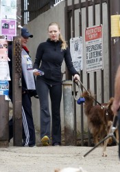 Amanda Seyfried Walks Her Dog
