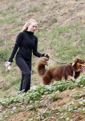 Amanda Seyfried Walks Her Dog