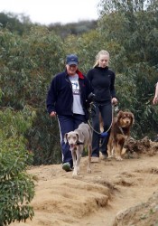 Amanda Seyfried Walks Her Dog in Hollywood Hills
