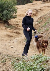 Amanda Seyfried Walks Her Dog in Hollywood Hills