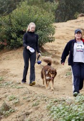 Amanda Seyfried Walks Her Dog in Hollywood Hills