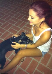 Ariana Grande Personal Twitter Photo