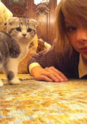 Taylor Swift Private Twitter Pics