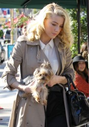 Amber Heard
