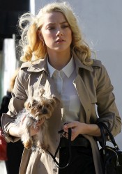 Amber Heard