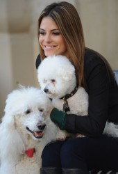 Maria Menounos