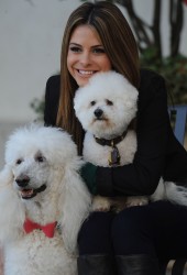 Maria Menounos