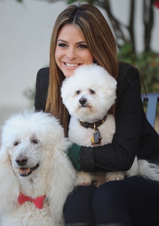 Maria Menounos