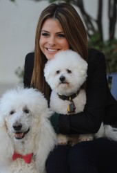 Maria Menounos