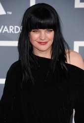 Pauley Perrette