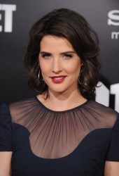 Cobie Smulders