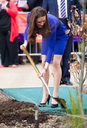 KATE MIDDLETON