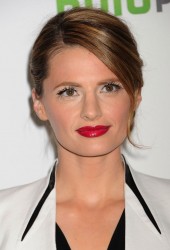 Stana Katic
