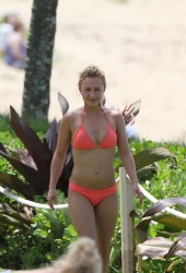HAYDEN PANETTIERE in a Orange Bikini