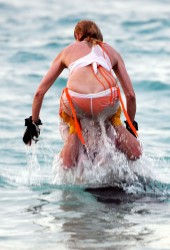 NICOLETTE SHERIDAN
