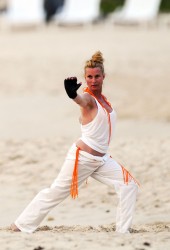 NICOLETTE SHERIDAN