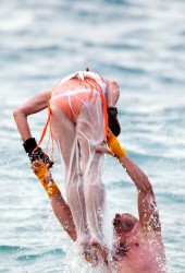 NICOLETTE SHERIDAN