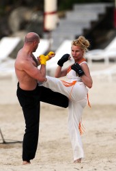 NICOLETTE SHERIDAN