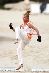 NICOLETTE SHERIDAN
