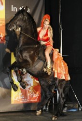 KATIE PRICE