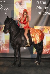 KATIE PRICE