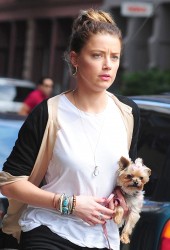 AMBER HEARD