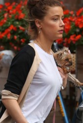 AMBER HEARD