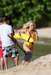 PAMELA ANDERSON