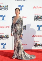 ROSELYN SANCHEZ