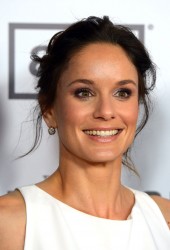 SARAH WAYNE CALLIES