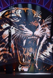 ADRIANA LIMA
