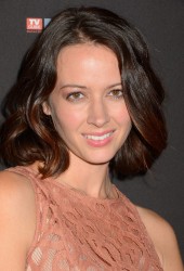 AMY ACKER