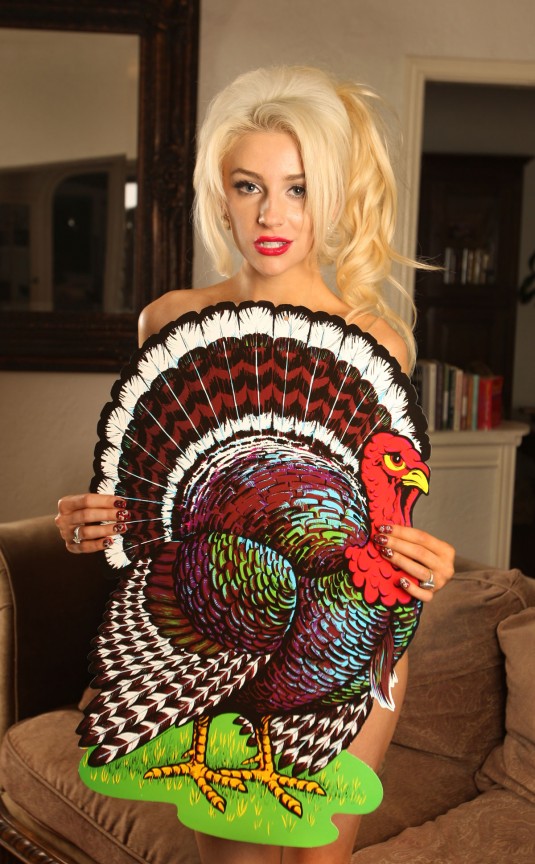 COURTNEY STODDEN